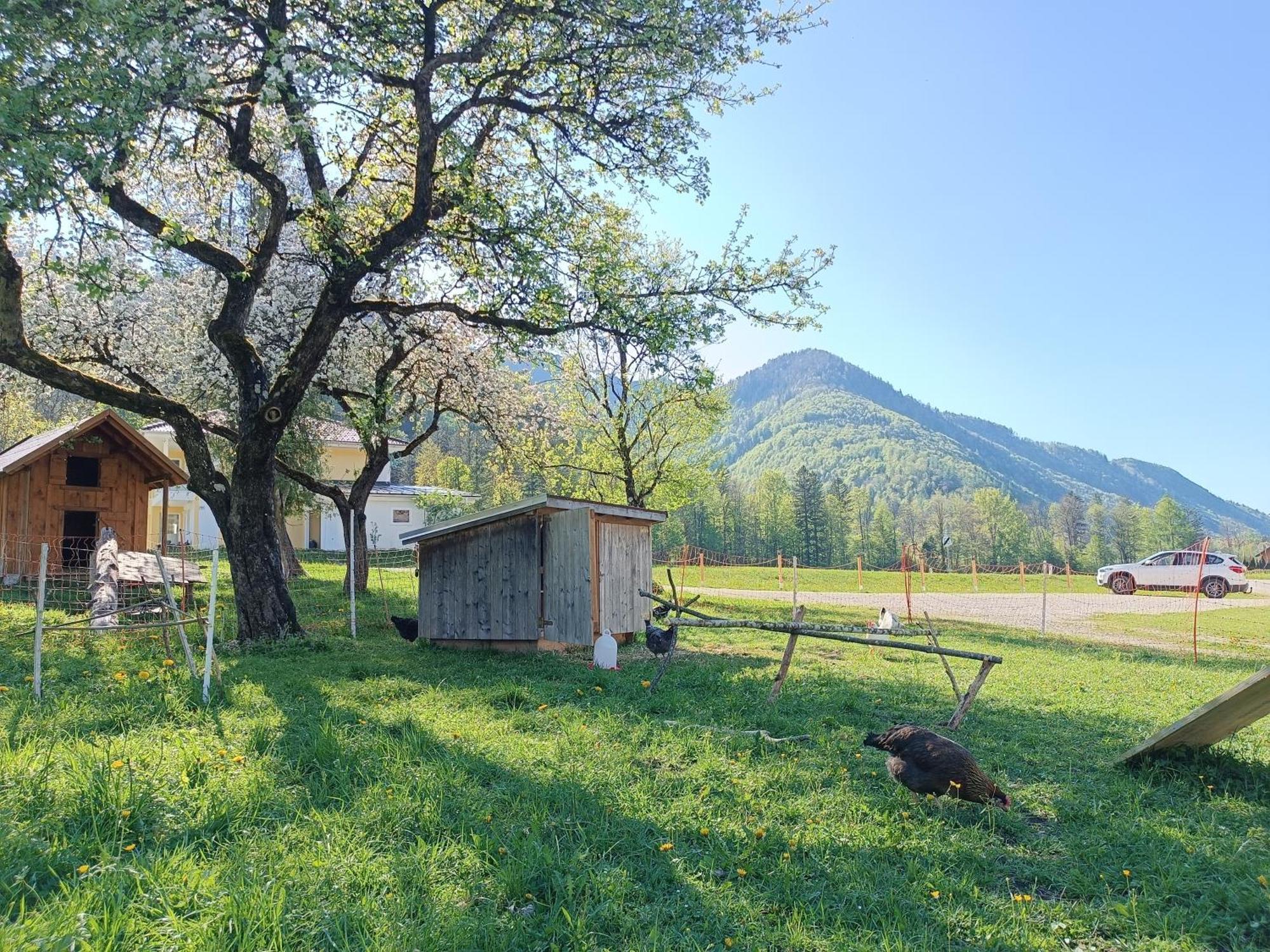 Ferienwohnung Hintererhof Hintersee Exterior foto