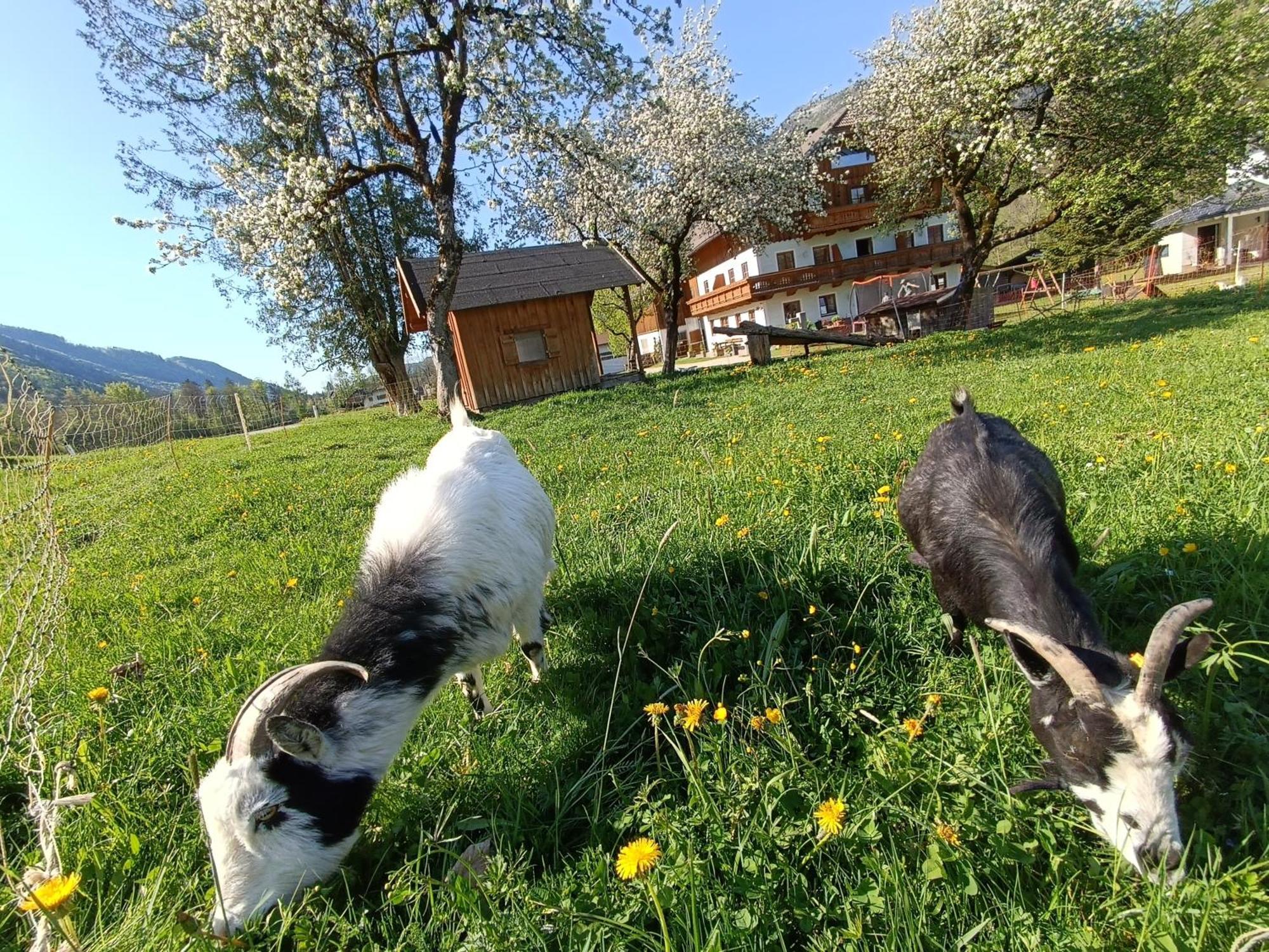 Ferienwohnung Hintererhof Hintersee Exterior foto